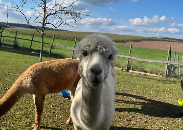 Apartman Rottal-alpakalodge Zeit Zu Zweit Im Gruenen