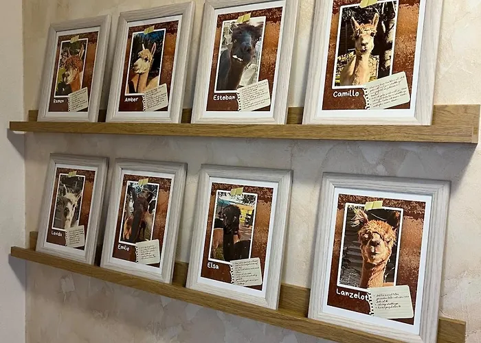 Rottal-alpakalodge Zeit Zu Zweit Im Gruenen *