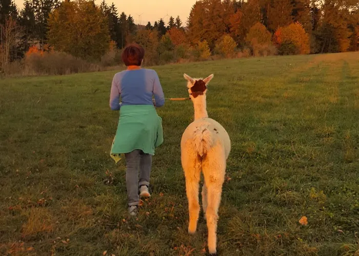 Rottal-alpakalodge Zeit Zu Zweit Im Gruenen *